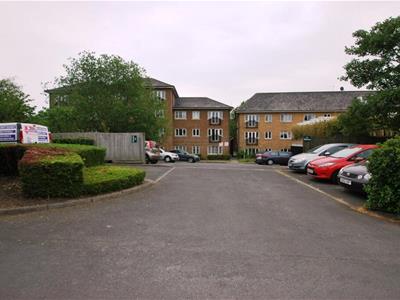 Picture 9